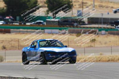 media/Mar-08-2025-Extreme Speed (Sat) [[4abb97269e]]/Purple/Turns 2  and  4 (Session 2)/